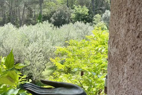 Villa a Salernes, Var, Salernes - € 1.300.000 | Ref: 85946721 - foto 23