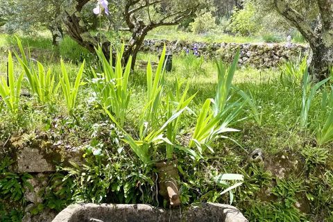 Villa a Salernes, Var, Salernes - € 1.300.000 | Ref: 85946721 - foto 33