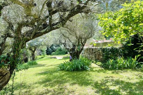 Villa a Salernes, Var, Salernes - € 1.300.000 | Ref: 85946721 - foto 34