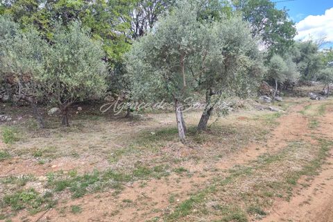 Helårsgrund i Tavernes, Var, Tavernes - € 86.500 | Ref: 1592 - foto 5