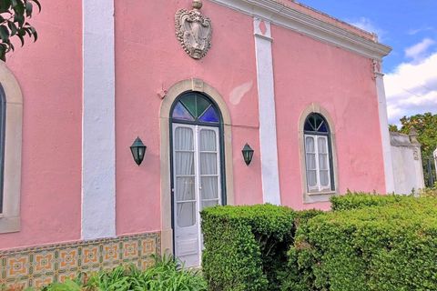 Farm i Riachos, Santarem, Riachos - € 1.500.000 | Ref: QUI2273 - foto 4