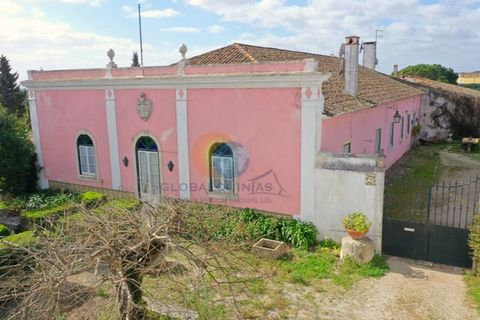 Farm i Riachos, Santarem, Riachos - € 1.500.000 | Ref: QUI2273 - foto 6