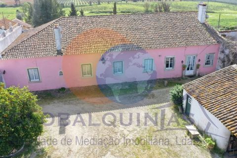 Farm i Riachos, Santarem, Riachos - € 1.500.000 | Ref: QUI2273 - foto 29