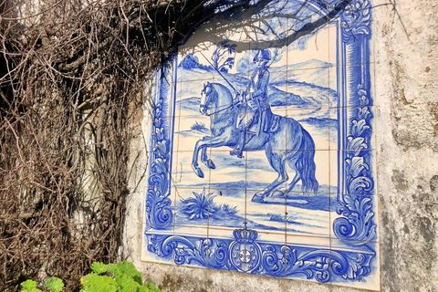 Farm i Riachos, Santarem, Riachos - € 1.500.000 | Ref: QUI2273 - foto 33