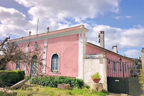 Farm i Riachos, Santarem, Riachos - € 1.500.000 | Ref: QUI2273 - foto 35