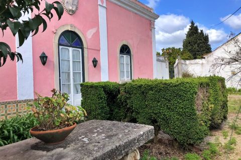 Farm i Riachos, Santarem, Riachos - € 1.500.000 | Ref: QUI2273 - foto 36
