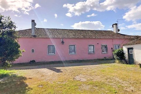 Farm i Riachos, Santarem, Riachos - € 1.500.000 | Ref: QUI2273 - foto 37