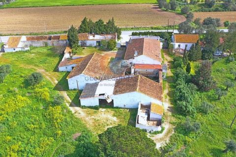 Farm i Riachos, Santarem, Riachos - € 1.500.000 | Ref: QUI2273 - foto 39