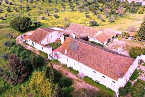 Farm i Riachos, Santarem, Riachos - € 1.500.000 | Ref: QUI2273 - foto 41