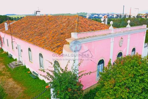 Farm i Riachos, Santarem, Riachos - € 1.500.000 | Ref: QUI2273 - foto 42