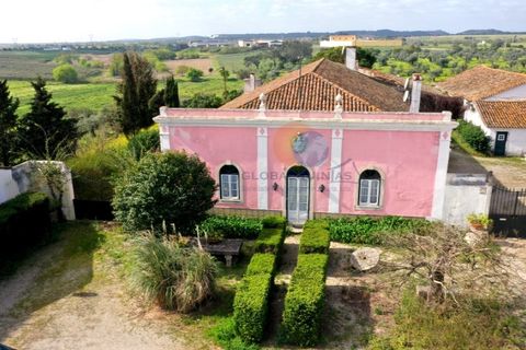 Farm i Riachos, Santarem, Riachos - € 1.500.000 | Ref: QUI2273 - foto 43