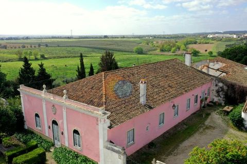Farm i Riachos, Santarem, Riachos - € 1.500.000 | Ref: QUI2273 - foto 44