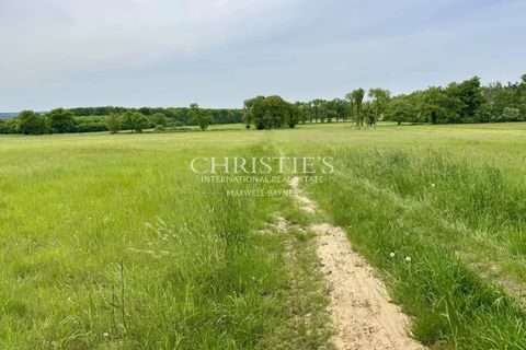 Herregård i Chatellerault, Vienne, Chatellerault - € 1 975 000 | Ref: NDB1026 - foto 22
