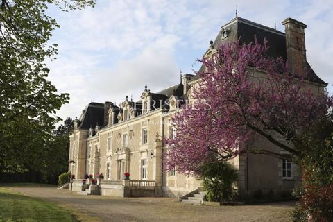 Herregård i Dienne, Vienne, Dienne - € 1 590 000 | Ref: OD1045 - foto 3