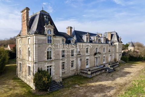 Herregård i Dienne, Vienne, Dienne - € 1 590 000 | Ref: OD1045 - foto 5