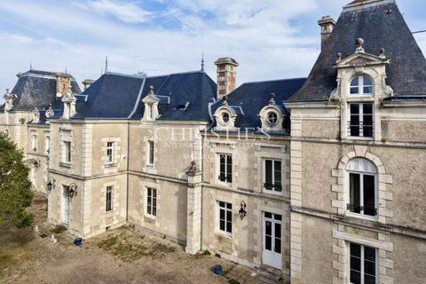 Herregård i Dienne, Vienne, Dienne - € 1 590 000 | Ref: OD1045 - foto 9