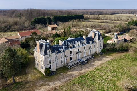 Herregård i Dienne, Vienne, Dienne - € 1 590 000 | Ref: OD1045 - foto 15
