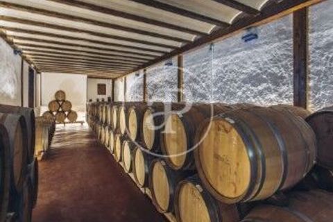 Villa i Utiel, Valencia, Utiel - € 900.000 | Ref: VV2505068 - foto 6