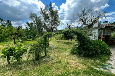 Byhus i Serta, Castelo Branco, Serta - € 140.000 | Ref: 142064 - foto 7