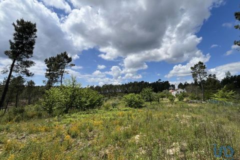 Byhus i Serta, Castelo Branco, Serta - € 140.000 | Ref: 142064 - foto 12