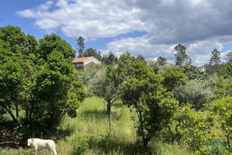 Byhus i Serta, Castelo Branco, Serta - € 140.000 | Ref: 142064 - foto 8