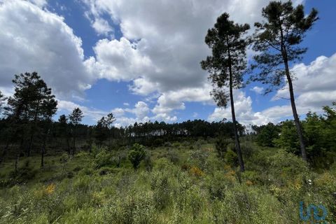 Byhus i Serta, Castelo Branco, Serta - € 140.000 | Ref: 142064 - foto 11