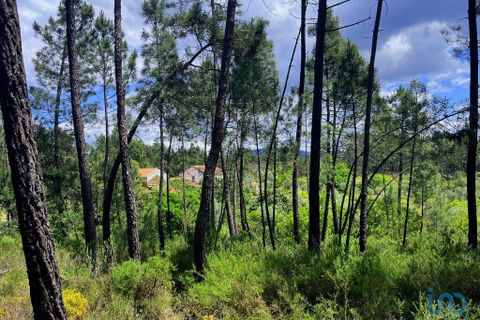 Byhus i Serta, Castelo Branco, Serta - € 140.000 | Ref: 142064 - foto 13
