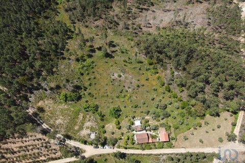 Byhus i Serta, Castelo Branco, Serta - € 140.000 | Ref: 142064 - foto 3