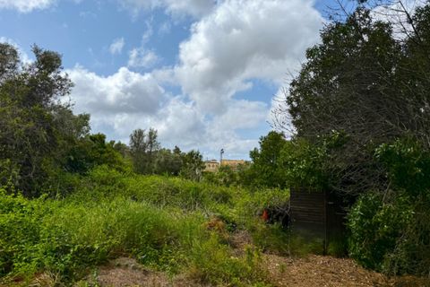 Finca i Teulada, Alicante, Teulada - € 499.000 | Ref: GM-211 - foto 19