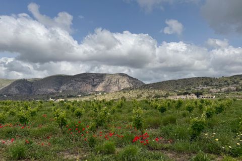 Finca i Teulada, Alicante, Teulada - € 499.000 | Ref: GM-211 - foto 21