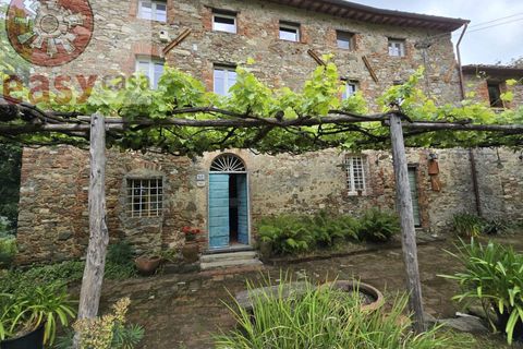 Landejendom i Camaiore, Lucca, Camaiore - € 550.000 | Ref: 1275 - foto 1
