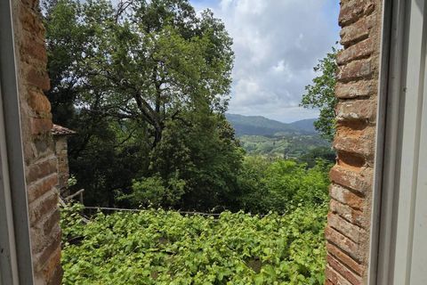 Landejendom i Camaiore, Lucca, Camaiore - € 550.000 | Ref: 1275 - foto 3
