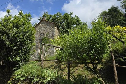 Landejendom i Camaiore, Lucca, Camaiore - € 550.000 | Ref: 1275 - foto 6