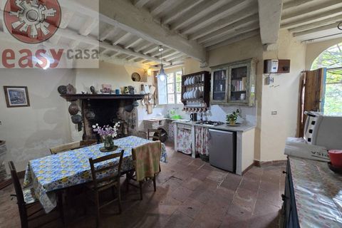 Landejendom i Camaiore, Lucca, Camaiore - € 550.000 | Ref: 1275 - foto 12