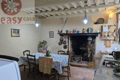Landejendom i Camaiore, Lucca, Camaiore - € 550.000 | Ref: 1275 - foto 31