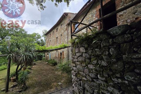 Landejendom i Camaiore, Lucca, Camaiore - € 550.000 | Ref: 1275 - foto 37