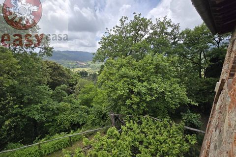 Landejendom i Camaiore, Lucca, Camaiore - € 550.000 | Ref: 1275 - foto 43