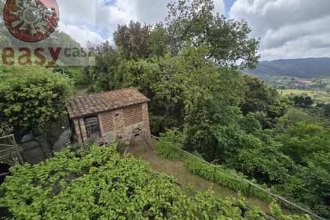 Landejendom i Camaiore, Lucca, Camaiore - € 550.000 | Ref: 1275 - foto 44