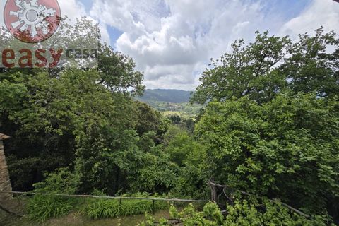 Landejendom i Camaiore, Lucca, Camaiore - € 550.000 | Ref: 1275 - foto 45