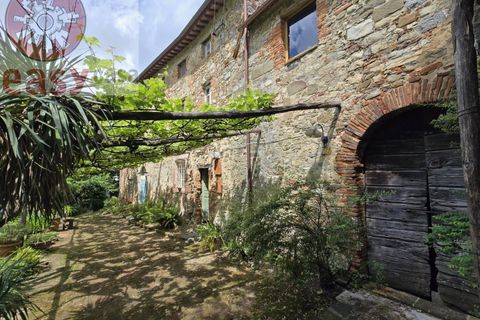 Landejendom i Camaiore, Lucca, Camaiore - € 550.000 | Ref: 1275 - foto 47