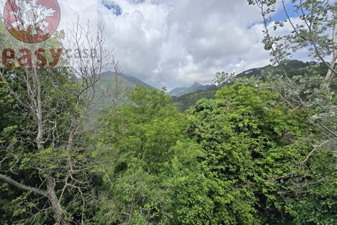 Landejendom i Camaiore, Lucca, Camaiore - € 550.000 | Ref: 1275 - foto 48