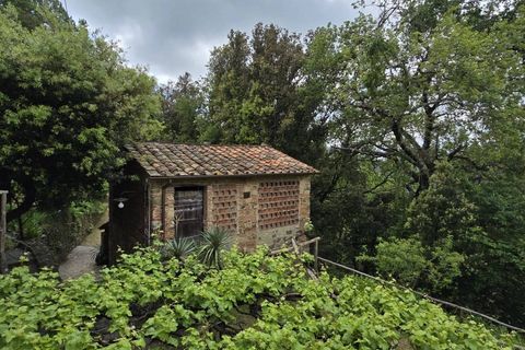Landejendom i Camaiore, Lucca, Camaiore - € 550.000 | Ref: 1275 - foto 49