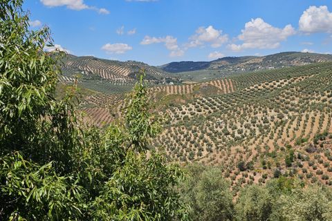 Landejendom i Iznajar, Cordoba, Iznajar - € 580.000 | Ref: cortijo Conde - foto 30