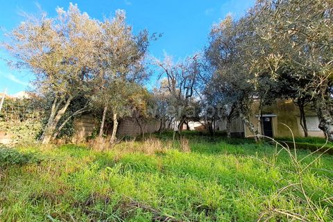 Helårsgrund i Covilha, Castelo Branco, Covilha - € 14.500 | Ref: 394240116 - foto 5