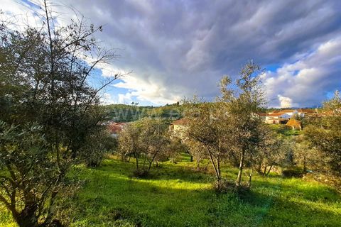 Helårsgrund i Covilha, Castelo Branco, Covilha - € 14.500 | Ref: 394240116 - foto 7