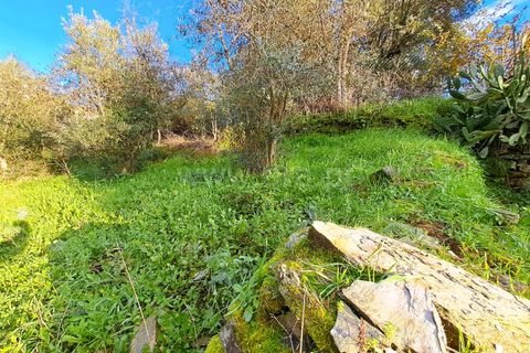 Helårsgrund i Covilha, Castelo Branco, Covilha - € 14.500 | Ref: 394240116 - foto 11
