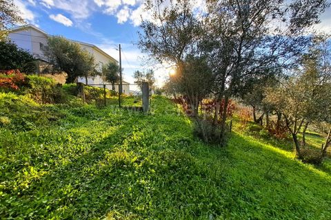 Helårsgrund i Covilha, Castelo Branco, Covilha - € 14.500 | Ref: 394240116 - foto 12