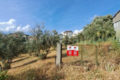 Helårsgrund i Covilha, Castelo Branco, Covilha - € 14.500 | Ref: 394240116 - foto 1