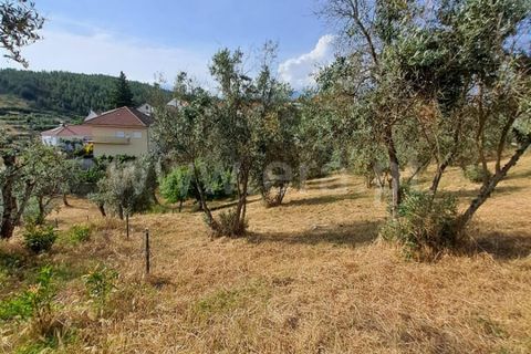 Helårsgrund i Covilha, Castelo Branco, Covilha - € 14.500 | Ref: 394240116 - foto 3