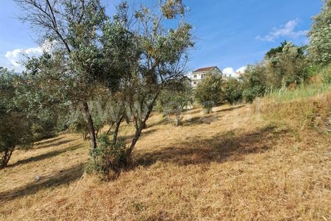 Helårsgrund i Covilha, Castelo Branco, Covilha - € 14.500 | Ref: 394240116 - foto 4